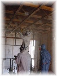 Mold Services, Hudson Valley, NY